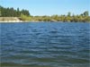 Etang du Mas d'arnaud