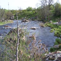 Photo du Bès